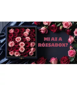 Mi az a rózsabox?