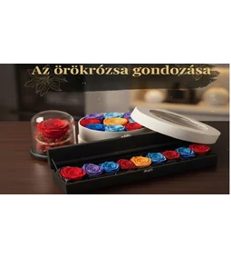 Örökrózsa gondozása: így marad gyönyörű évekig – Tippek a Rozsa-Box.hu-n