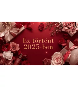 2025-ös év összeefoglaló