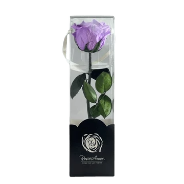 Örökrózsa díszdobozban - Lila