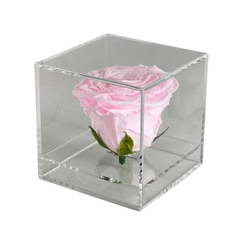 Örökrózsa akril dobozban