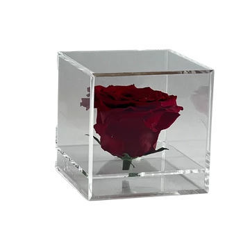 Örökrózsa akril dobozban-Piros