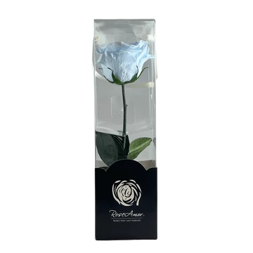 Örökrózsa díszdobozban