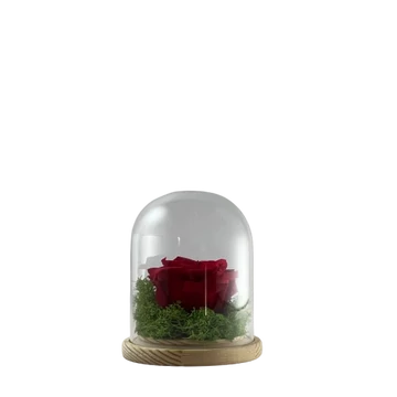 Örökrózsa fej búrában