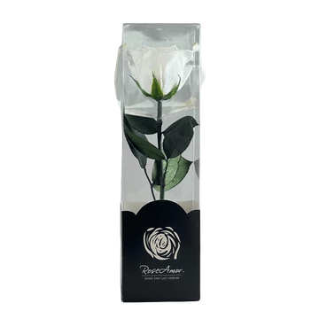 Örökrózsa díszdobozban