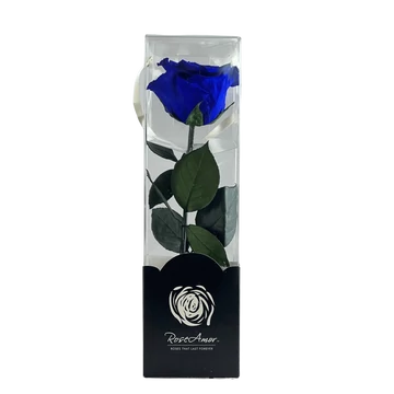 Örökrózsa díszdobozban királykék - közepes