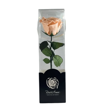 Örökrózsa díszdobozban Barack