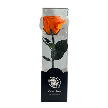 Örökrózsa díszdobozban narancs