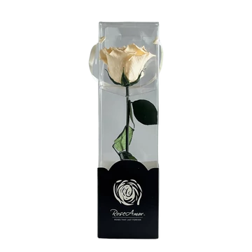 Örökrózsa díszdobozban Krém