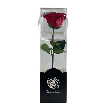 Örökrózsa díszdobozban vörös