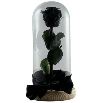 Örökrózsa üvegbúrában - fekete