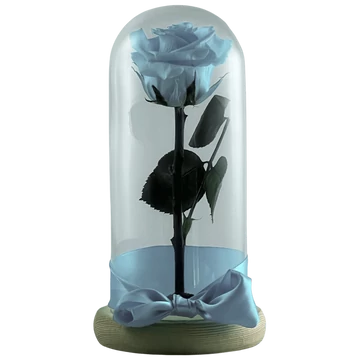Örökrózsa üvegbúrában-Világoskék