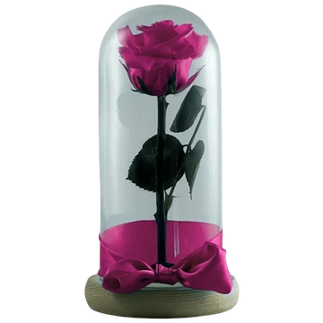 Örökrózsa üvegbúrában - Pink