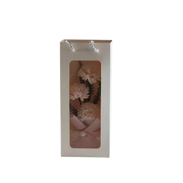 Szappanvirág - Szegfű