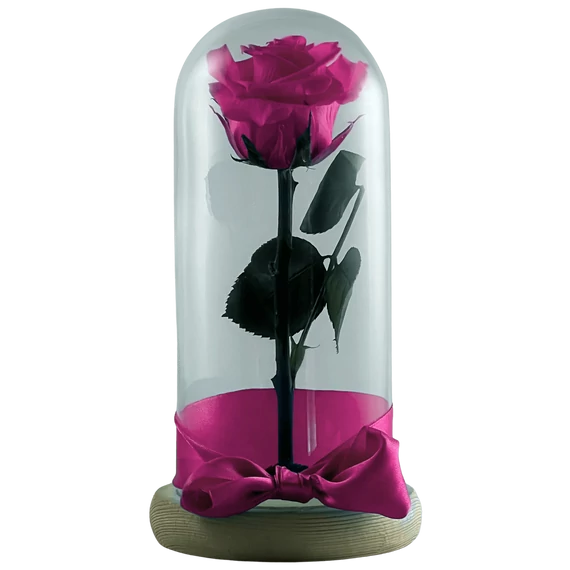 Örökrózsa üvegbúrában - Pink