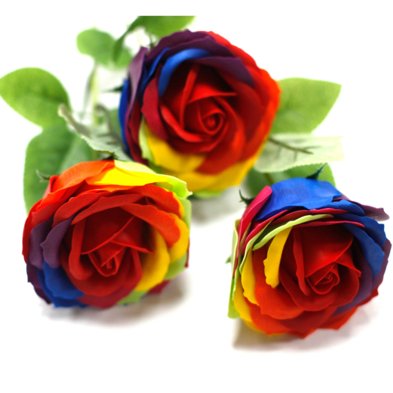 Luxus Szappanvirág - Szivárványos Rózsa
