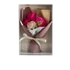 Kép 1/2 - Szappanvirág - Rózsa-Szegfű-Pink