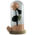 Kép 3/3 - Örökrózsa üvegbúrában - Barack