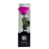Kép 1/2 - Örökrózsa díszdobozban Pink